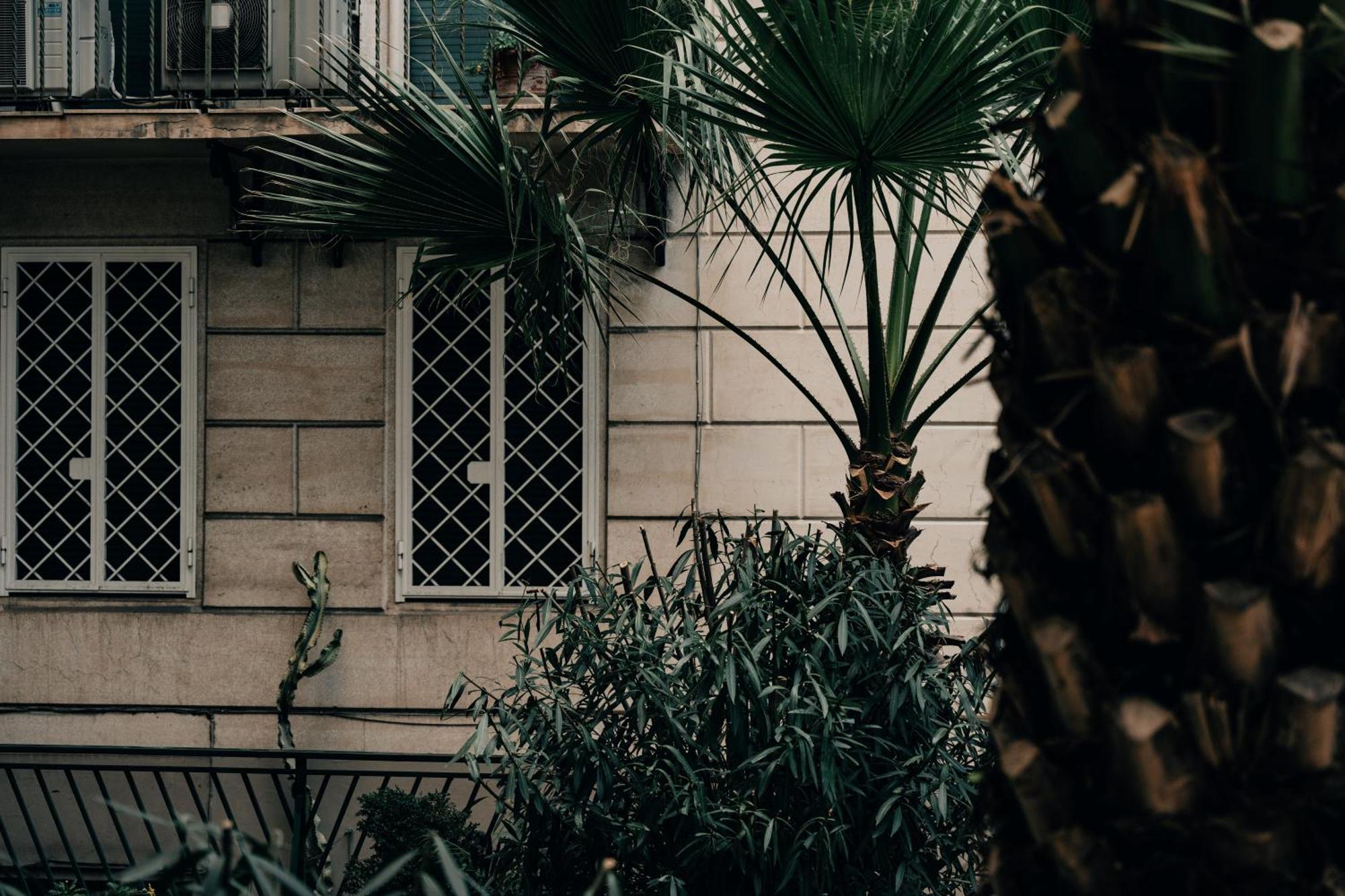 Pepe's Place - Manzoni Maison d'hôtes Rome
